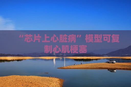 “芯片上心脏病”模型可复制心肌梗塞