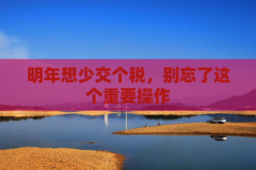 明年想少交个税，别忘了这个重要操作