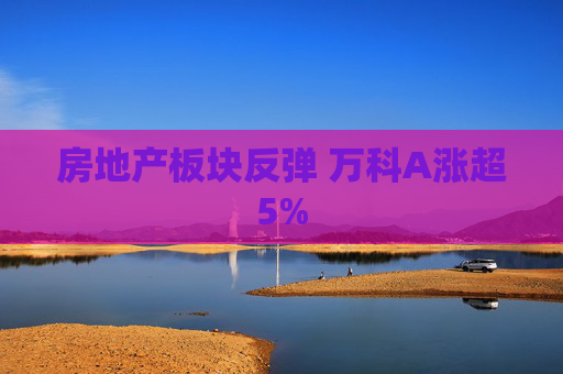 房地产板块反弹 万科A涨超5%