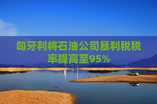 匈牙利将石油公司暴利税税率提高至95%