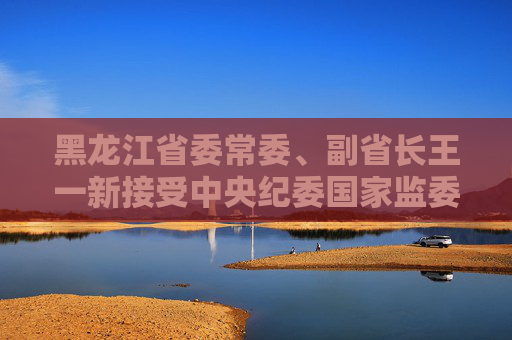 黑龙江省委常委、副省长王一新接受中央纪委国家监委审查调查