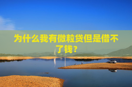 为什么我有微粒贷但是借不了钱？