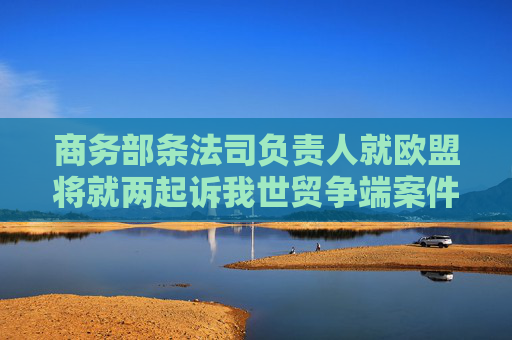 商务部条法司负责人就欧盟将就两起诉我世贸争端案件提请世贸组织设立专家组答记者问