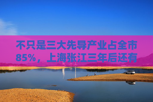 不只是三大先导产业占全市85%，上海张江三年后还有这些目标