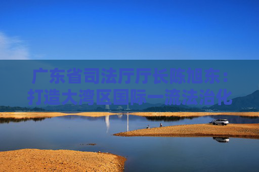 广东省司法厅厅长陈旭东：打造大湾区国际一流法治化营商环境