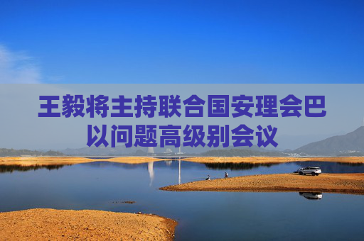 王毅将主持联合国安理会巴以问题高级别会议