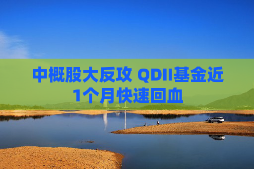 中概股大反攻 QDII基金近1个月快速回血