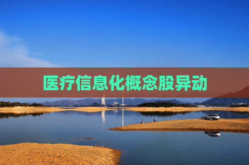 医疗信息化概念股异动