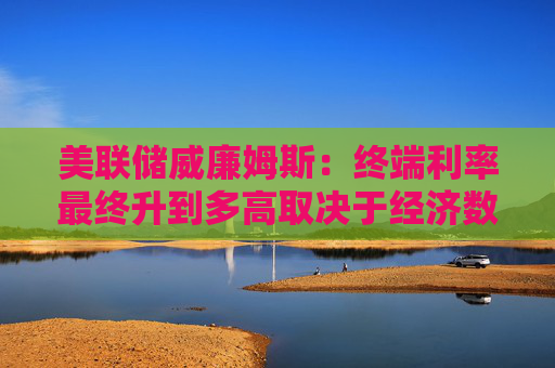 美联储威廉姆斯：终端利率最终升到多高取决于经济数据