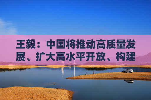 王毅：中国将推动高质量发展、扩大高水平开放、构建新发展格局
