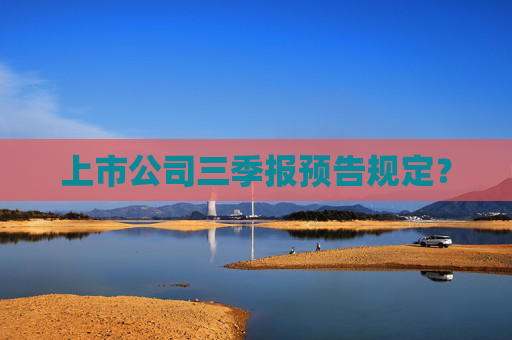 上市公司三季报预告规定？