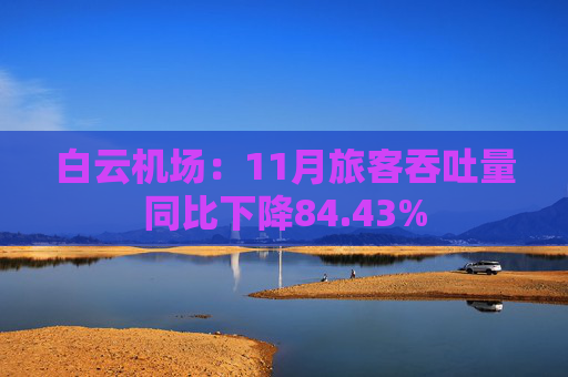 白云机场：11月旅客吞吐量同比下降84.43%