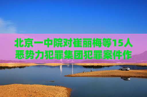 北京一中院对崔丽梅等15人恶势力犯罪集团犯罪案件作出一审判决