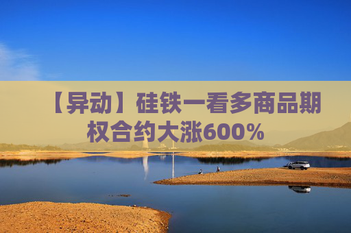 【异动】硅铁一看多商品期权合约大涨600%
