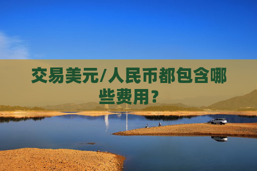 交易美元/人民币都包含哪些费用？