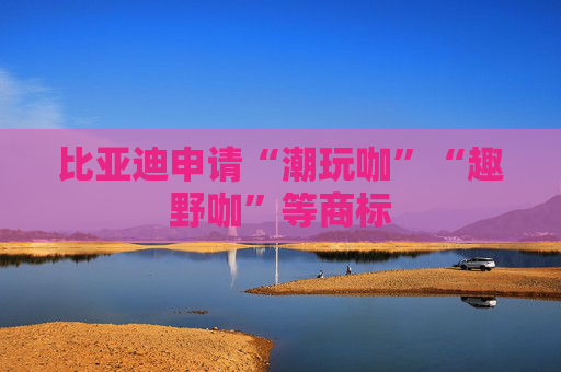 比亚迪申请“潮玩咖”“趣野咖”等商标