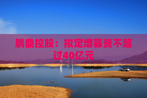 鹏鼎控股：拟定增募资不超过40亿元
