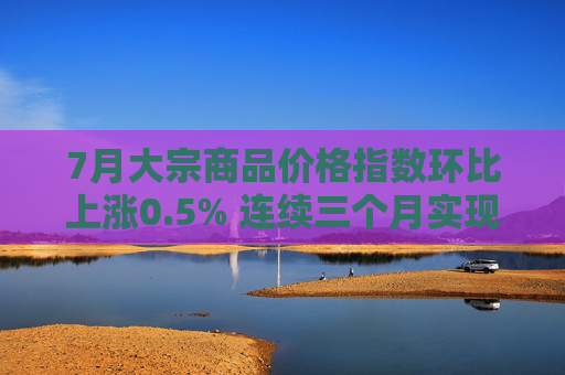 7月大宗商品价格指数环比上涨0.5% 连续三个月实现正增长
