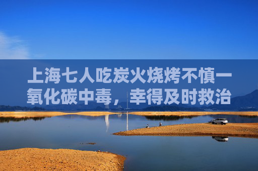 上海七人吃炭火烧烤不慎一氧化碳中毒，幸得及时救治