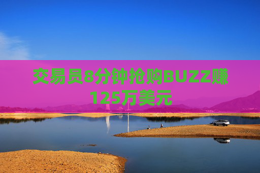 交易员8分钟抢购BUZZ赚125万美元