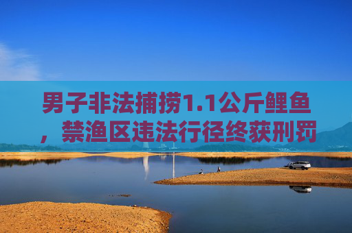 男子非法捕捞1.1公斤鲤鱼，禁渔区违法行径终获刑罚