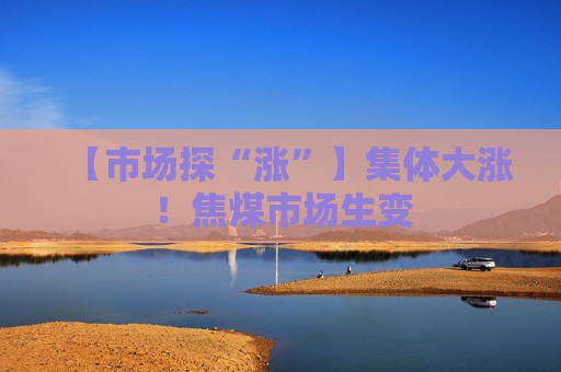 【市场探“涨”】集体大涨！焦煤市场生变