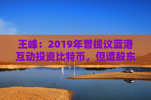 王峰：2019年曾提议蓝港互动投资比特币，但遭股东威胁起诉