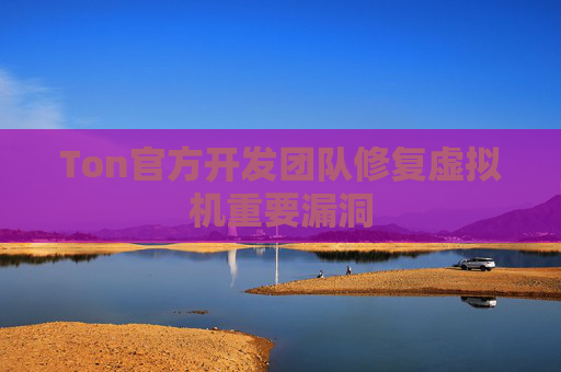 Ton官方开发团队修复虚拟机重要漏洞