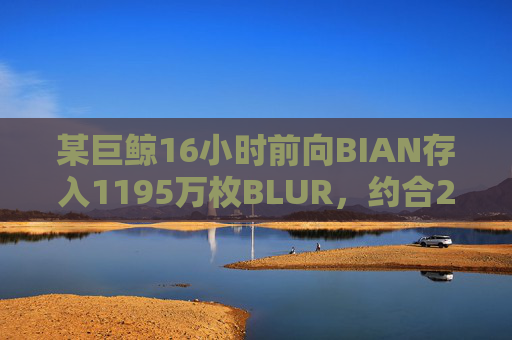 某巨鲸16小时前向BIAN存入1195万枚BLUR，约合274万美元