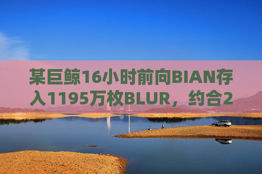 某巨鲸16小时前向BIAN存入1195万枚BLUR，约合274万美元