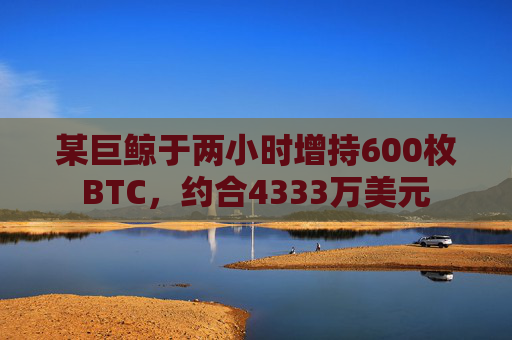 某巨鲸于两小时增持600枚BTC，约合4333万美元