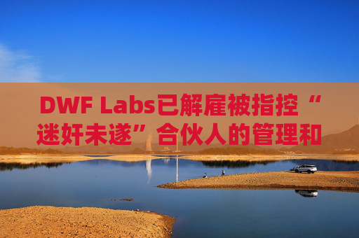 DWF Labs已解雇被指控“迷奸未遂”合伙人的管理和运营职务