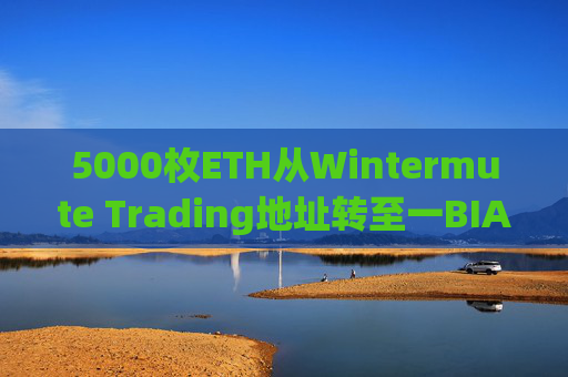 5000枚ETH从Wintermute Trading地址转至一BIAN用户地址