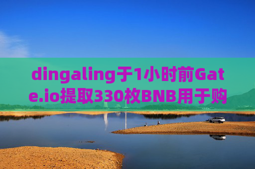 dingaling于1小时前Gate.io提取330枚BNB用于购买Cheems