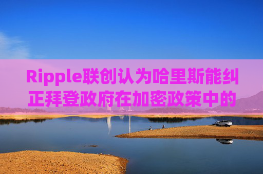 Ripple联创认为哈里斯能纠正拜登政府在加密政策中的重大错误