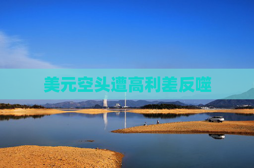 美元空头遭高利差反噬