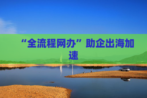 “全流程网办”助企出海加速