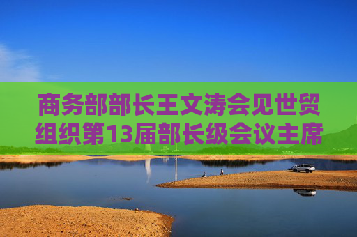 商务部部长王文涛会见世贸组织第13届部长级会议主席、阿联酋外贸国务部长宰尤迪