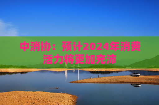 中消协：预计2024年消费活力将更加充沛