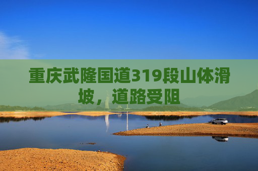 重庆武隆国道319段山体滑坡，道路受阻