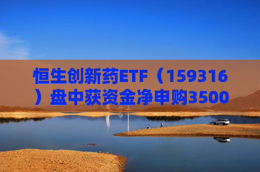 恒生创新药ETF（159316）盘中获资金净申购3500万份