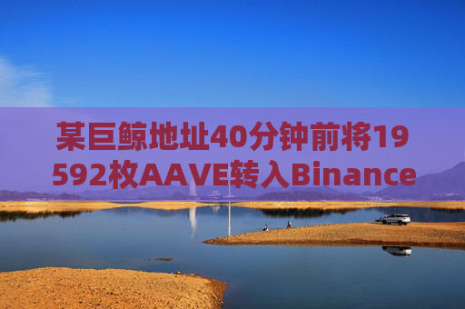 某巨鲸地址40分钟前将19592枚AAVE转入Binance