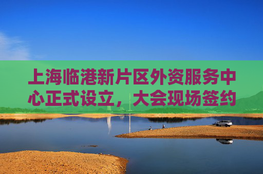 上海临港新片区外资服务中心正式设立，大会现场签约总额超50亿元