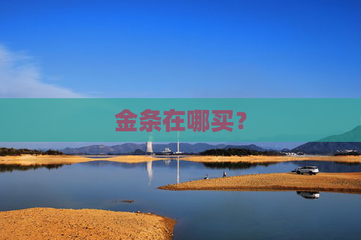 金条在哪买？
