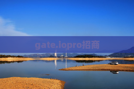 gate.iopro招商