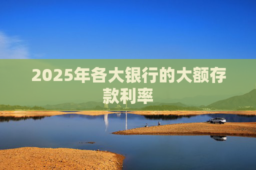 2025年各大银行的大额存款利率