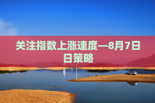 关注指数上涨速度—8月7日日策略