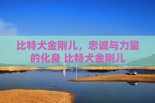 比特犬金刚儿，忠诚与力量的化身 比特犬金刚儿