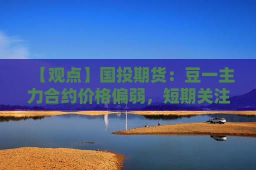 【观点】国投期货：豆一主力合约价格偏弱，短期关注天气影响