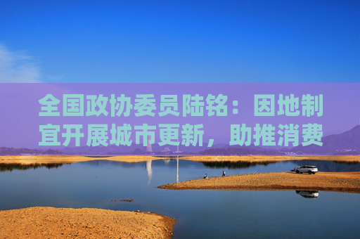 全国政协委员陆铭：因地制宜开展城市更新，助推消费中心城市建设